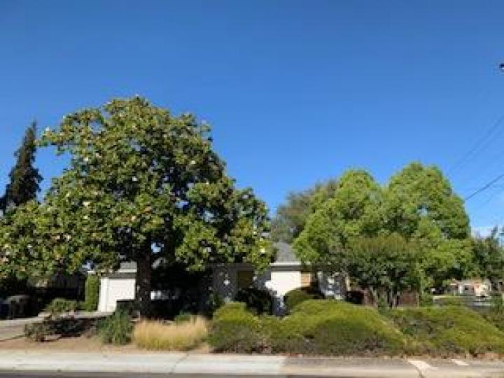 164 Jane Ann Way, Campbell, CA | . Photo 1 of 8