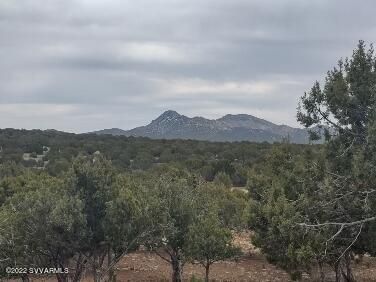 16432 N Incline Trl, Seligman, AZ | 5 Acres Or More. Photo 47 of 97