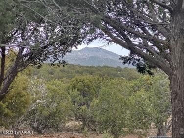 16432 N Incline Trl, Seligman, AZ | 5 Acres Or More. Photo 64 of 97