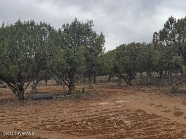 16432 N Incline Trl, Seligman, AZ | 5 Acres Or More. Photo 66 of 97