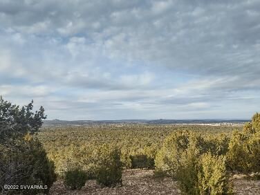 16432 N Incline Trl, Seligman, AZ | 5 Acres Or More. Photo 92 of 97