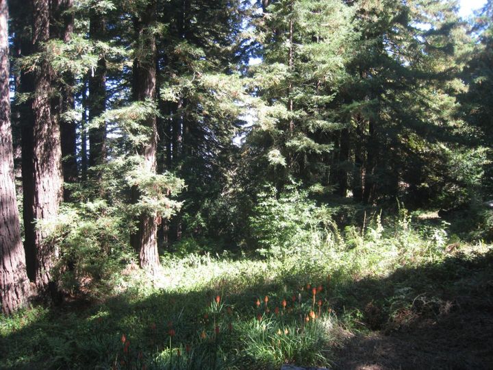 27 Big Tree Way, Woodside, CA | . Photo 11 of 27