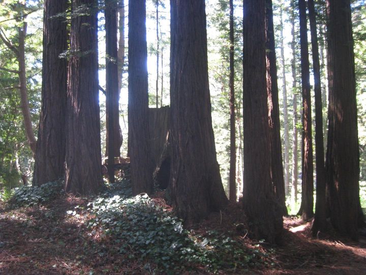 27 Big Tree Way, Woodside, CA | . Photo 12 of 27