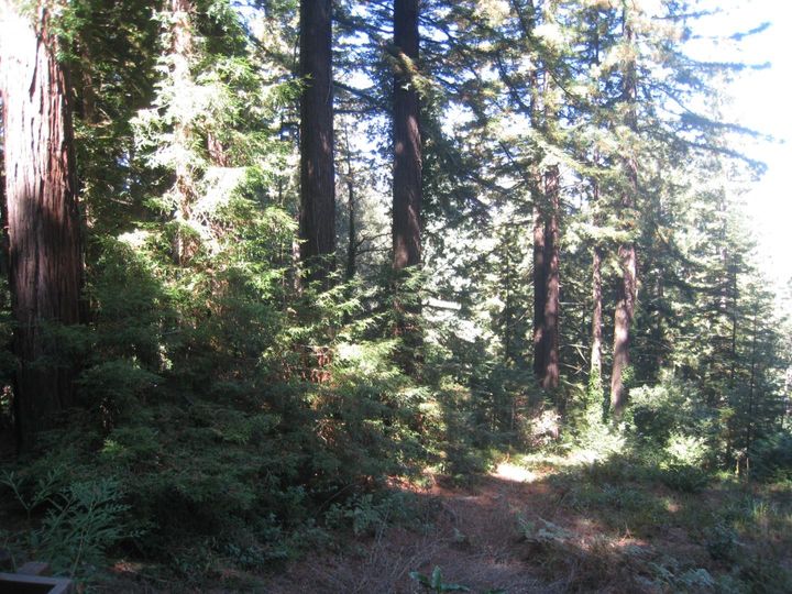 27 Big Tree Way, Woodside, CA | . Photo 13 of 27