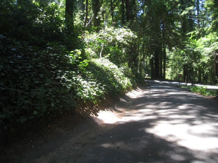 27 Big Tree Way, Woodside, CA | . Photo 16 of 27