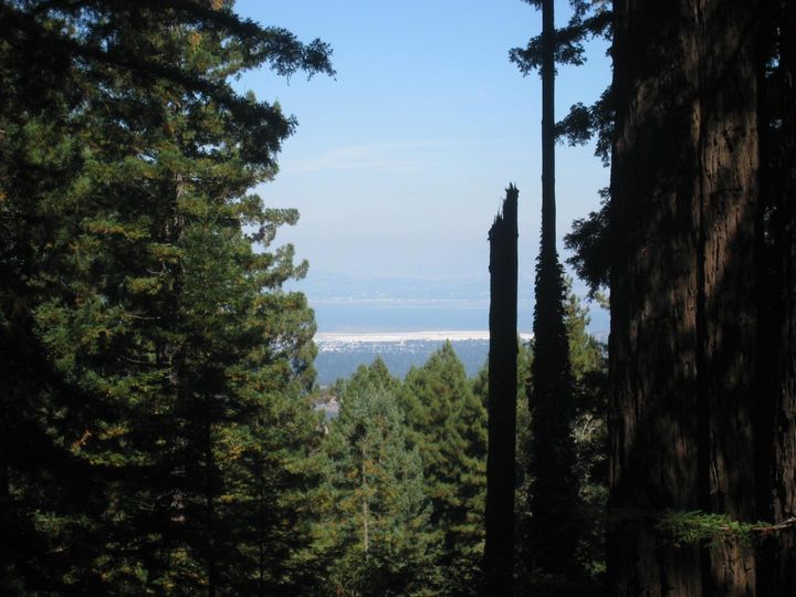 27 Big Tree Way, Woodside, CA | . Photo 3 of 27