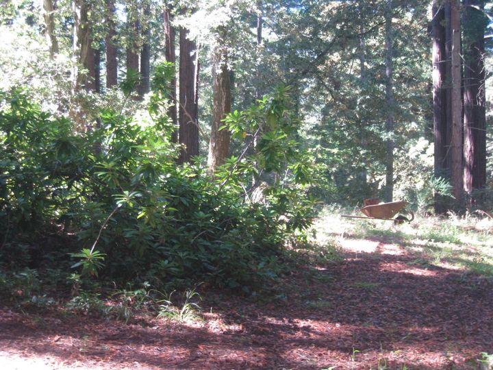 27 Big Tree Way, Woodside, CA | . Photo 10 of 27