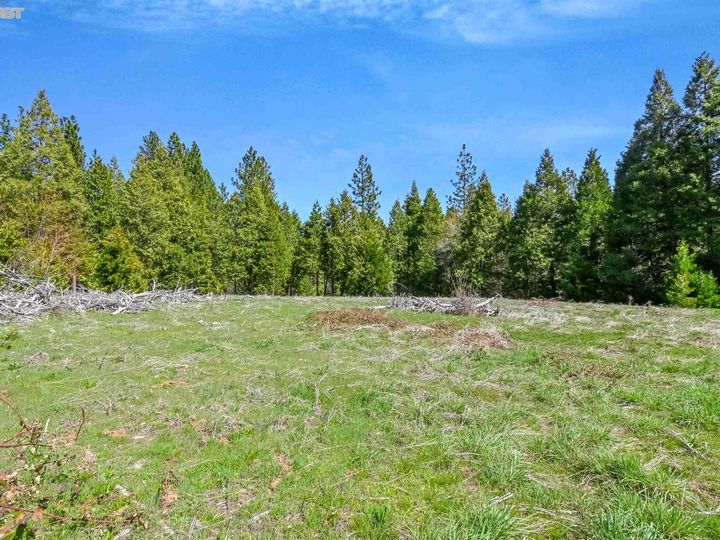3061 Forest Rd, Pollock Pines, CA | . Photo 5 of 38
