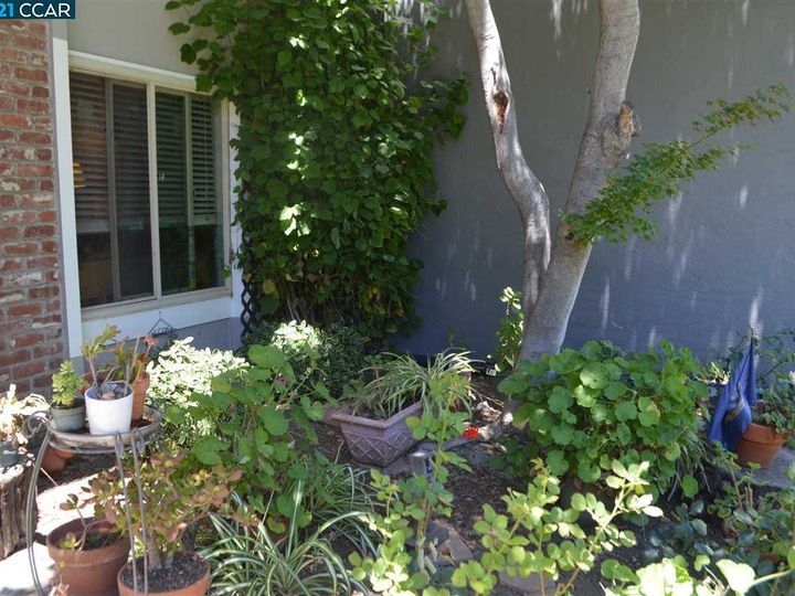 3650 Northwood #B, Concord, CA, 94520 Townhouse. Photo 19 of 24