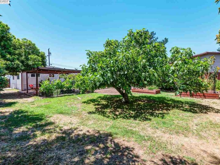 434 N P St, Livermore, CA | . Photo 21 of 22