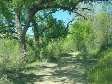 Reay Rd, Rimrock, AZ | 5 Acres Or More. Photo 3 of 21