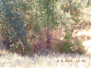 15466 Palm Ave Clearlake CA. Photo 6 of 8