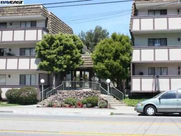 1550 Bancroft Ave unit #222, Nugent Square, CA