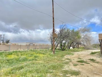 15981 Gaskell Rd, Rosamond, CA | . Photo 6 of 18