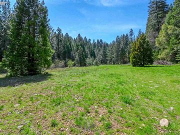 3061 Forest Rd, Pollock Pines, CA | . Photo 2 of 38