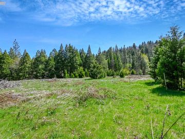 3061 Forest Rd, Pollock Pines, CA | . Photo 3 of 38