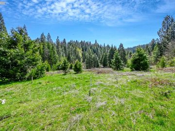 3061 Forest Rd, Pollock Pines, CA | . Photo 4 of 38