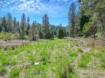 3061 Forest Rd, Pollock Pines, CA | . Photo 6 of 38