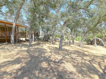 4859 Owens Creek Rd, Catheys Valley, CA | . Photo 2 of 49