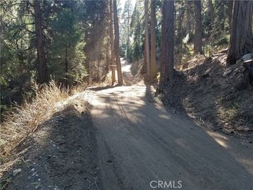 Burnt Mill Canyon Rd Cedarpines Park CA. Photo 6 of 9