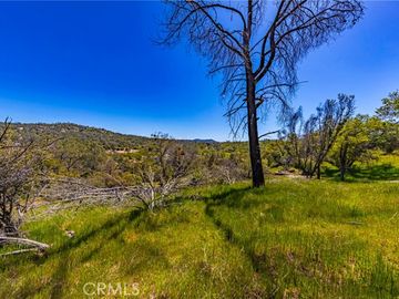 Jim Bowie Ct, Coarsegold, CA
